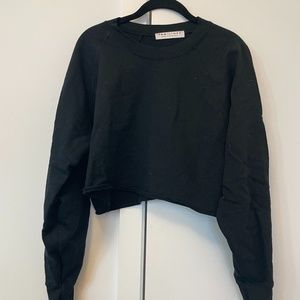 Tan + Lines by Sivan Ayla Cropped Sweatshirt